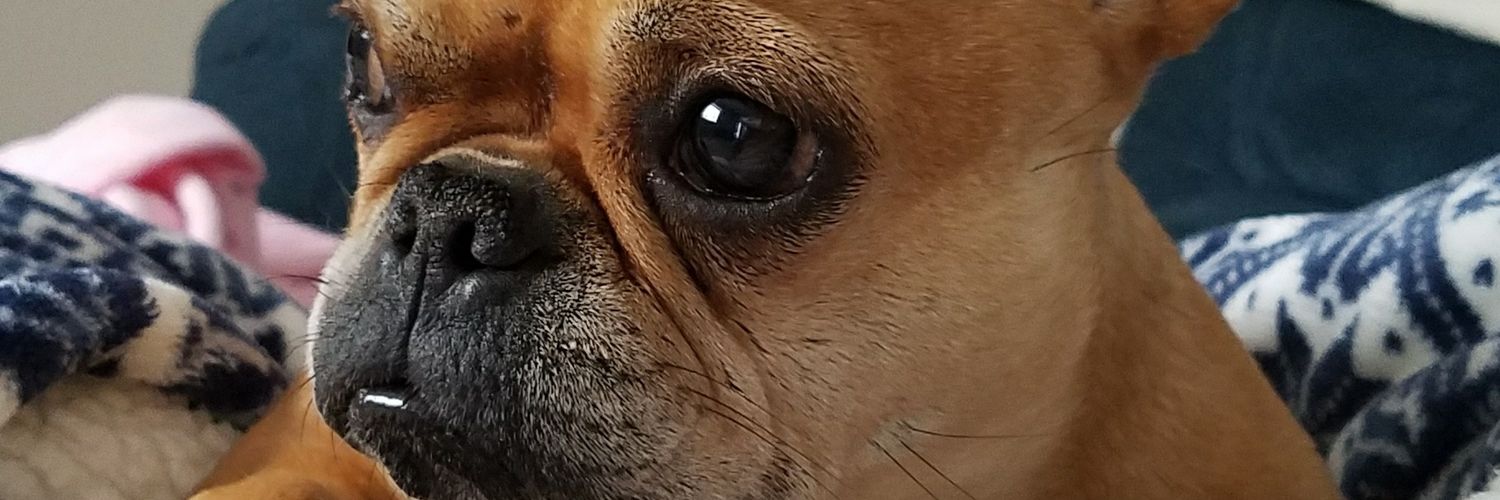 YostlikeGhost's profile banner image