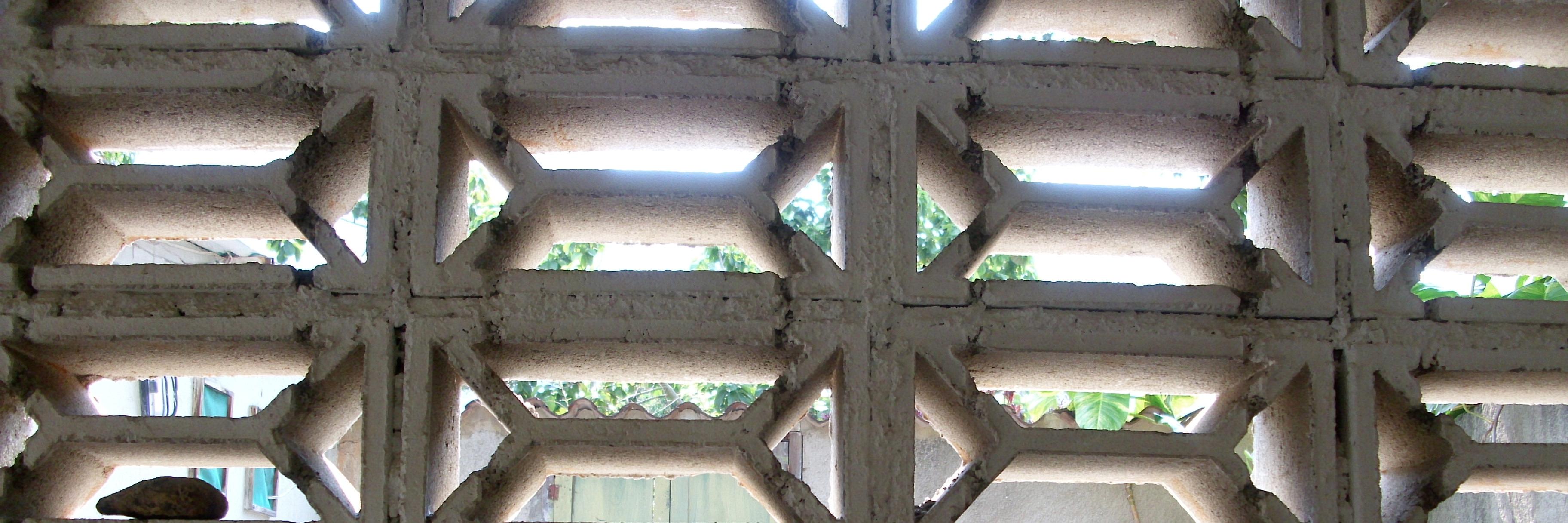 Guillermo Parra banner