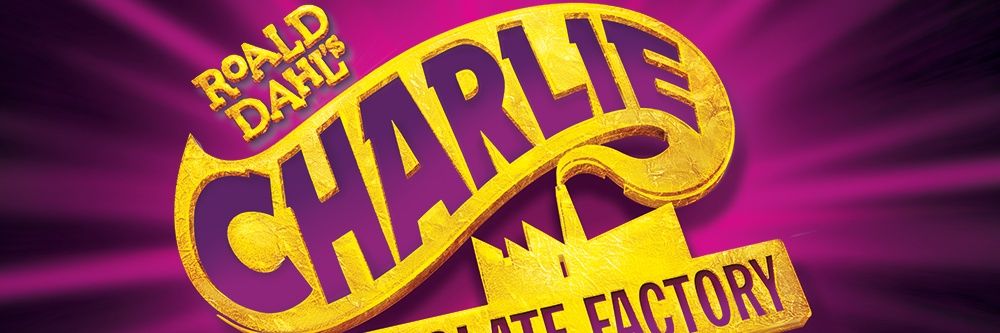 Limerick Musical Soc banner