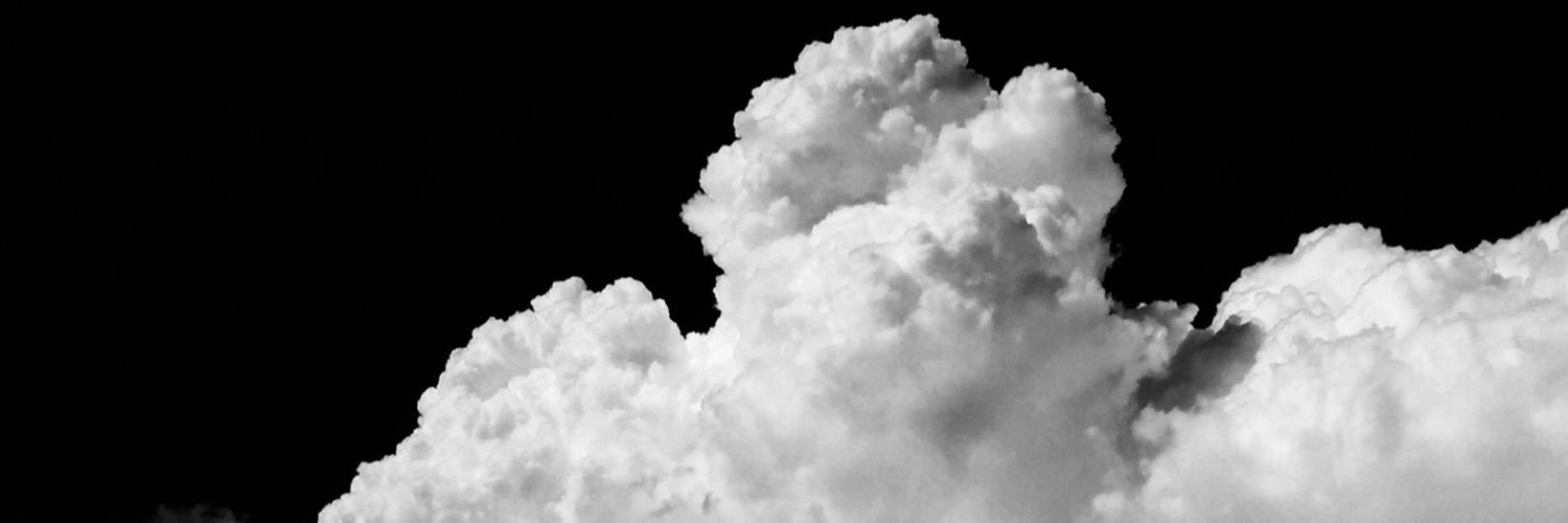 Vedder banner