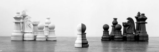 Stefano Fabbri banner