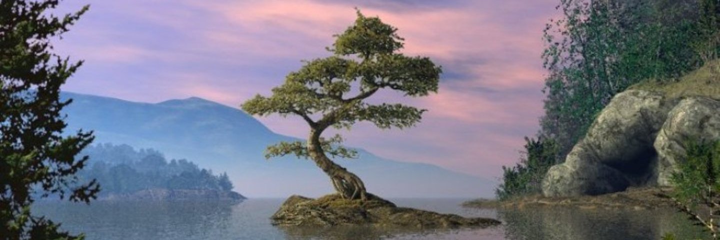 vertabre's profile banner image
