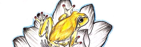 PanknR5 Profile Banner