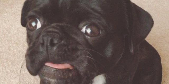 ___ banner