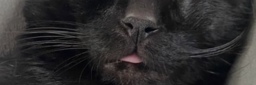 AF_EROTIC🌸 banner