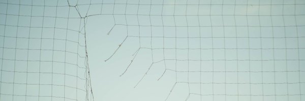quolc Profile Banner