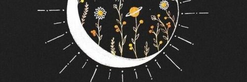 LuizaBertolin's profile banner image