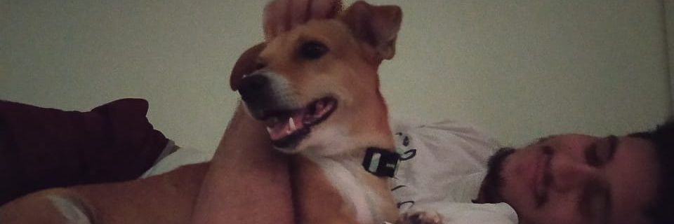 aigor_'s profile banner image