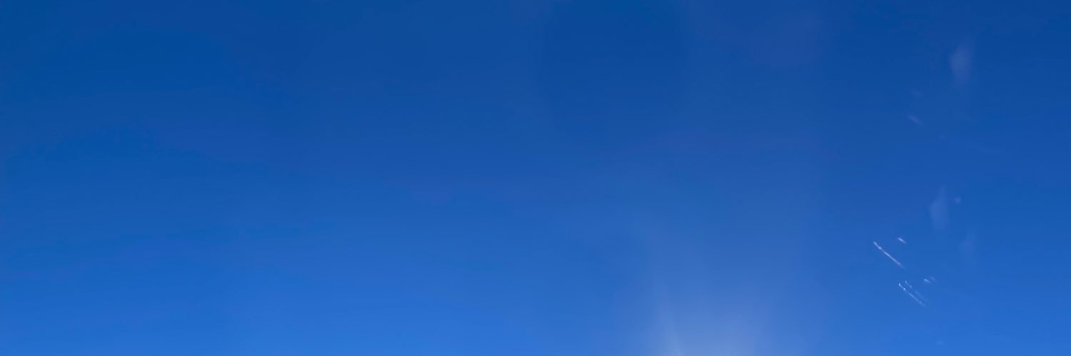 Nari banner