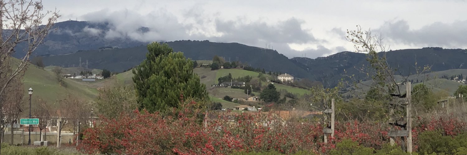 mnoor2's profile banner image