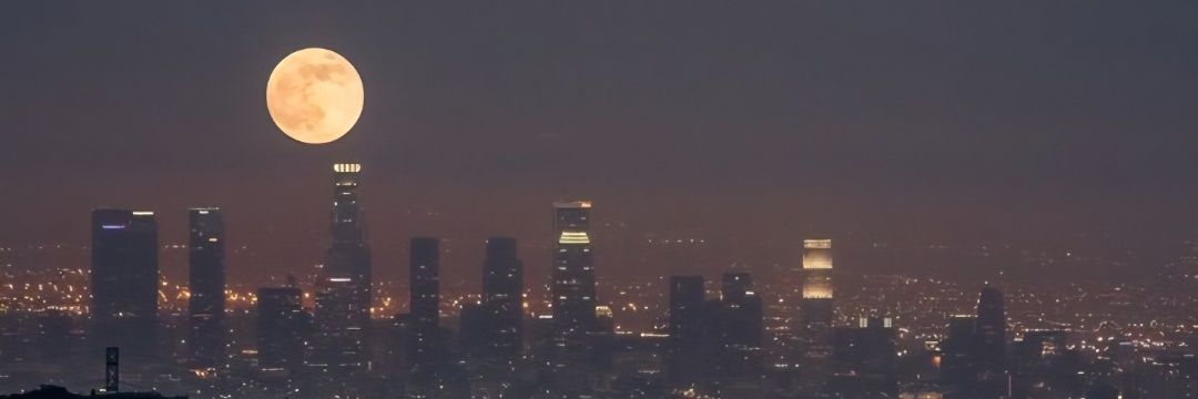 월하 🌔 banner