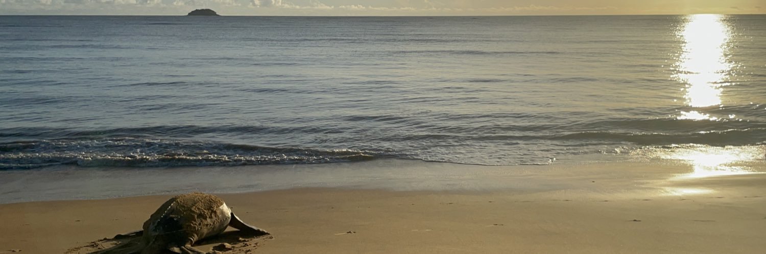 marie_frmt's profile banner image