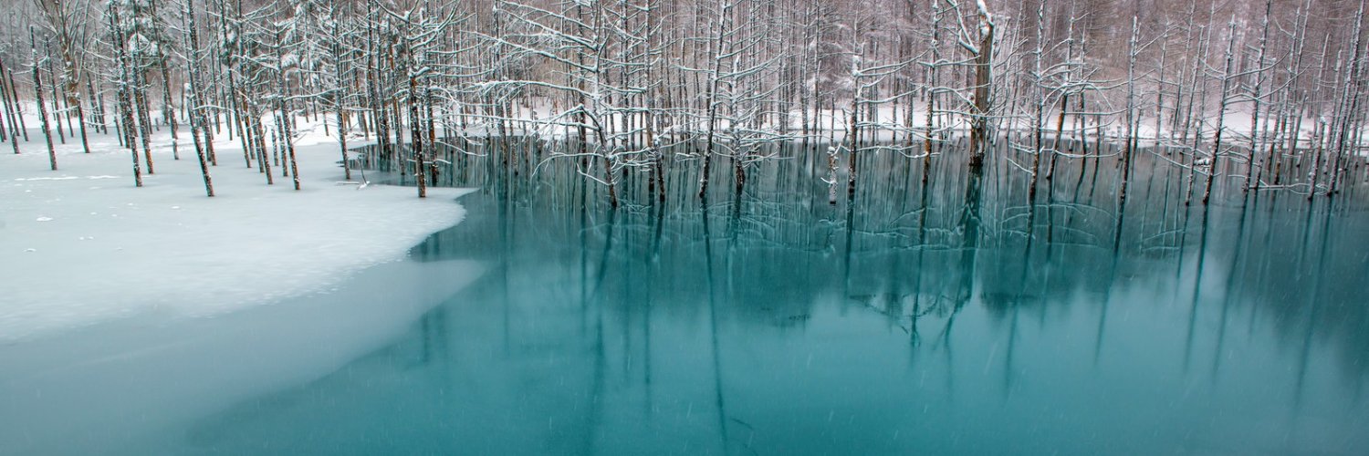pond_stock's profile banner image