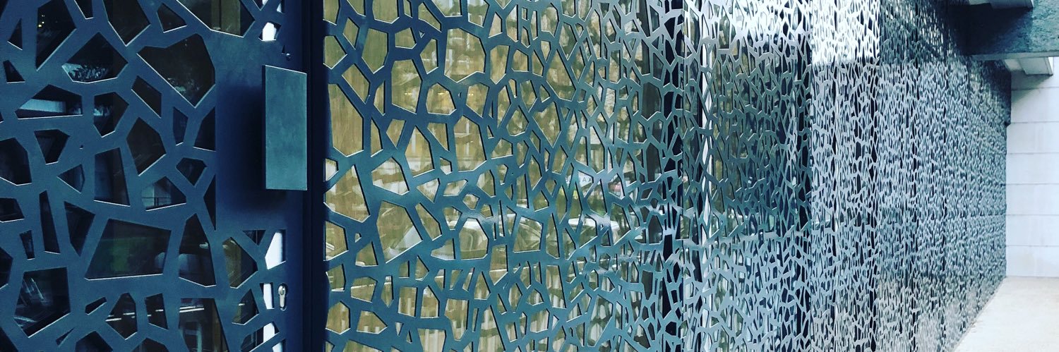 〰Sarah Cohen Lippe 〰 banner