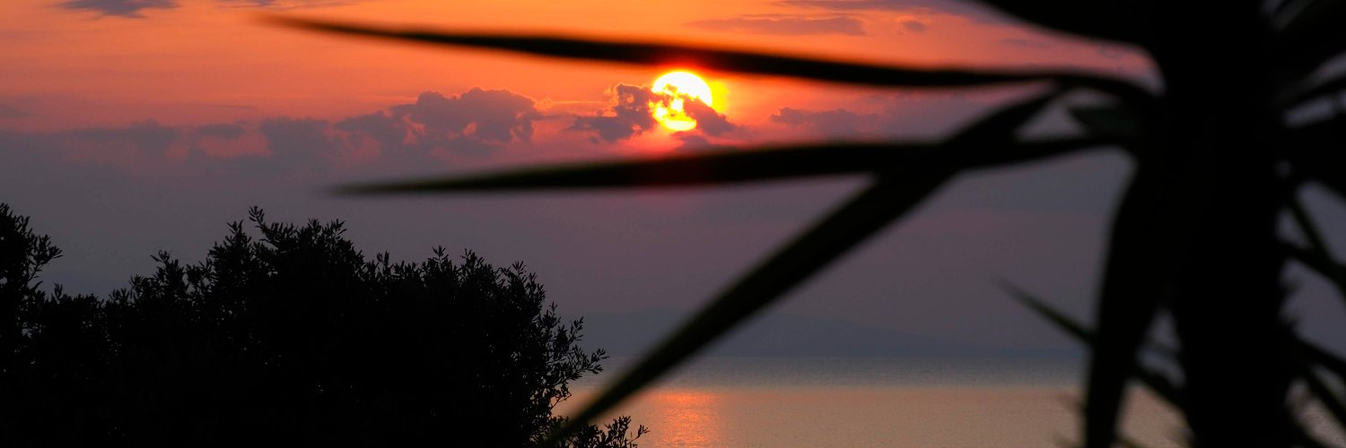mckome's profile banner image
