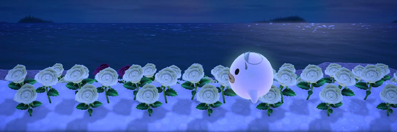 低浮上 banner