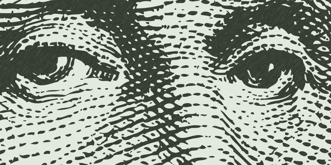 dotnetos's profile banner image