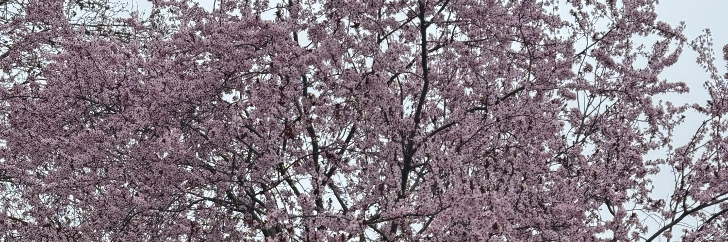 94hrn's profile banner image