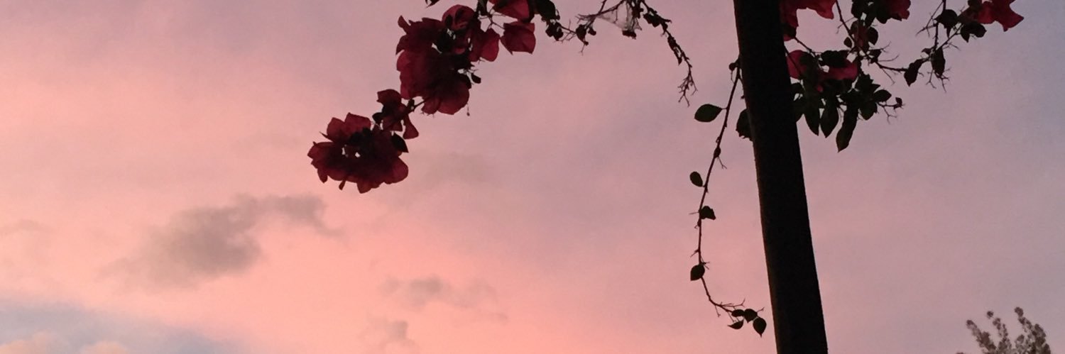 EliaLolu's profile banner image