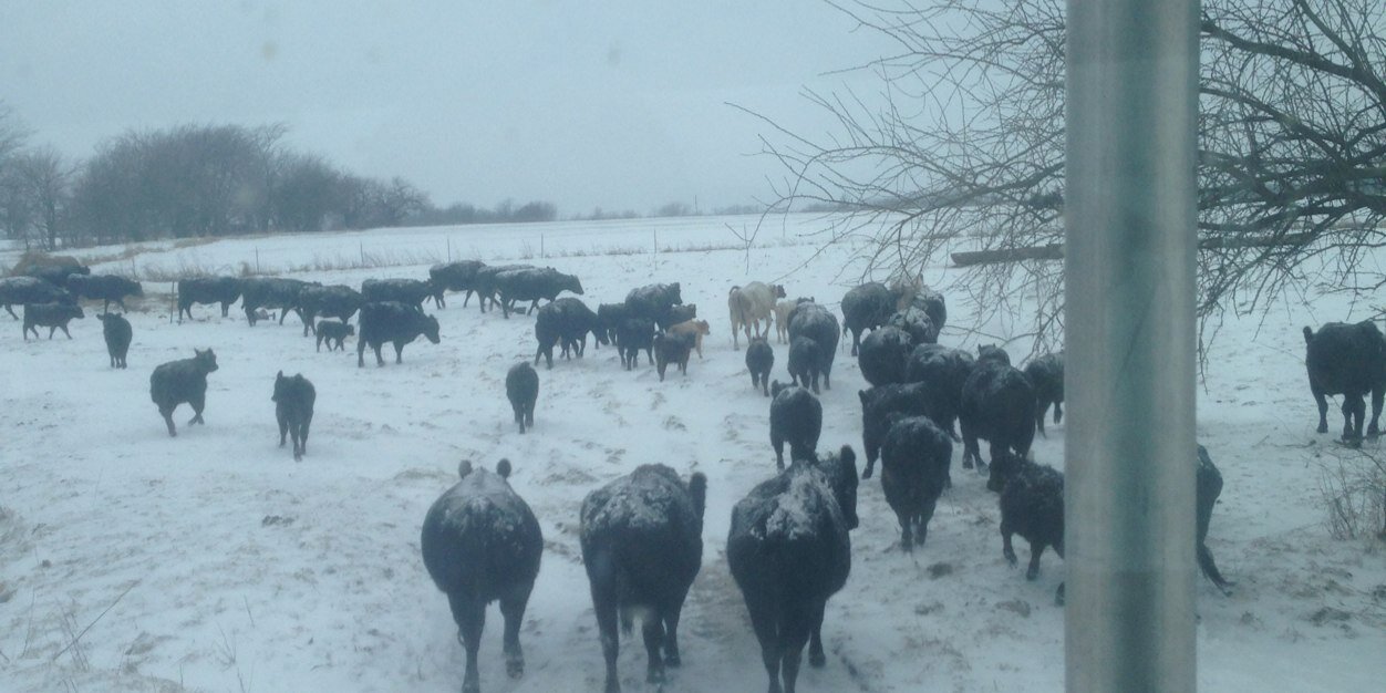 farm33's profile banner image