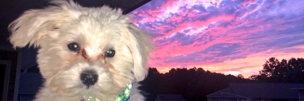 AshlynMackenize's profile banner image