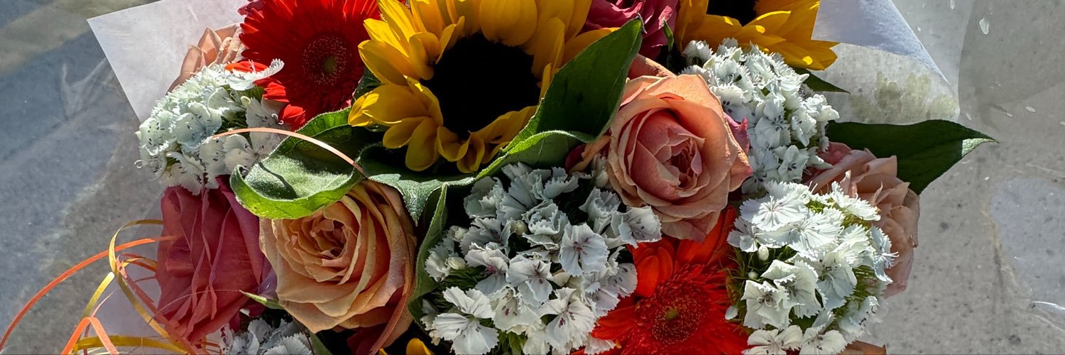 ddwyl_'s profile banner image