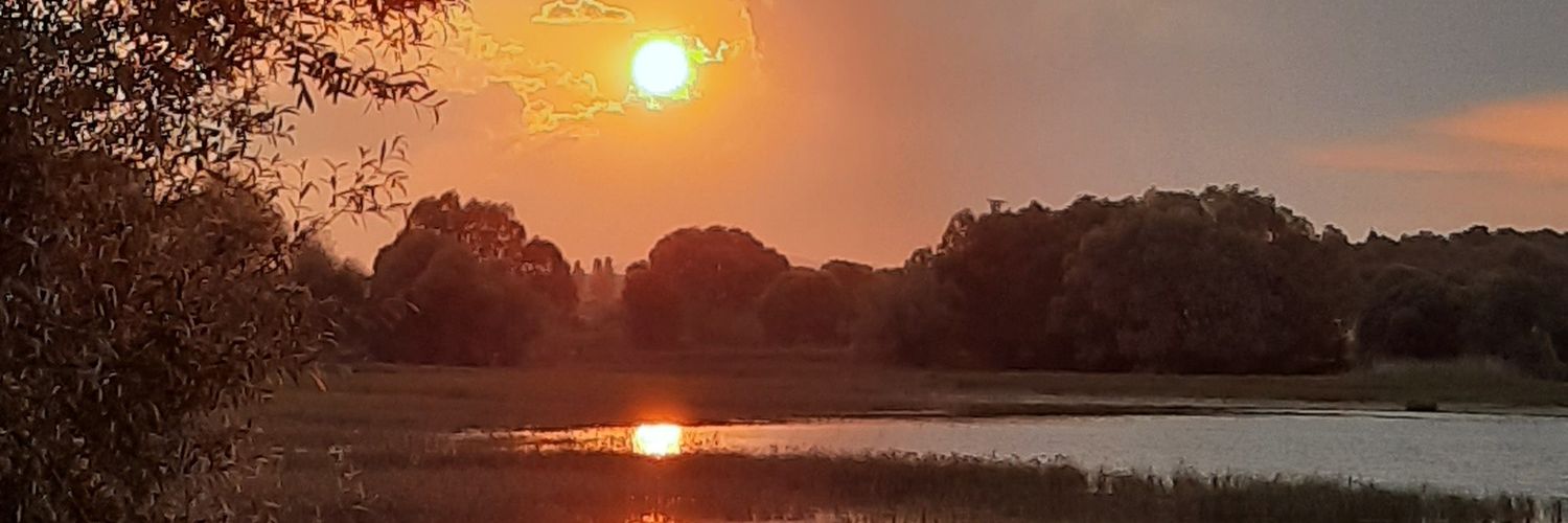 ozlemselek's profile banner image