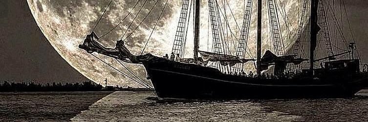 carni3's profile banner image