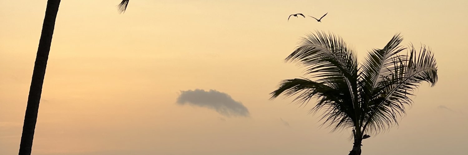 RachelSpause's profile banner image