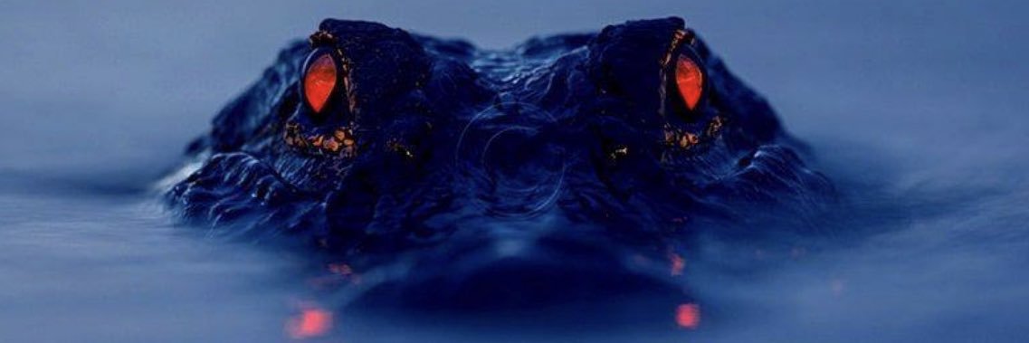 Aith_17's profile banner image