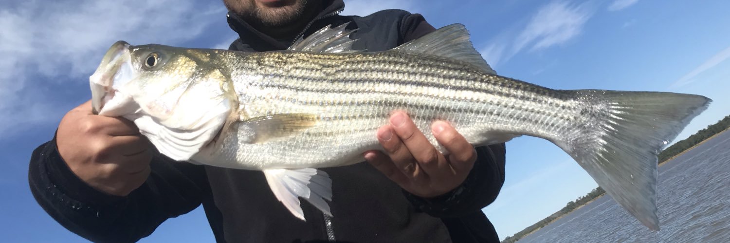 Milton Landaverde banner