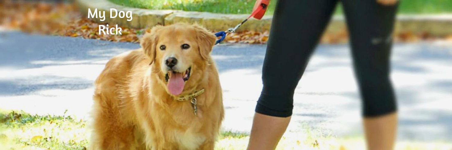 Meeka712's profile banner image