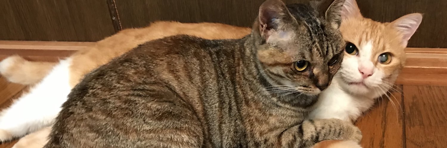 0n4ch's profile banner image