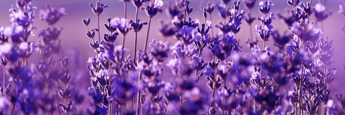 MSabdian's profile banner image