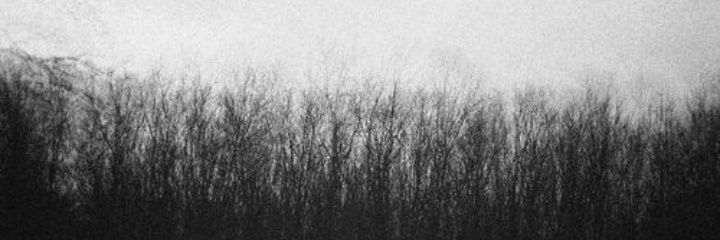 rorodrigo_r's profile banner image