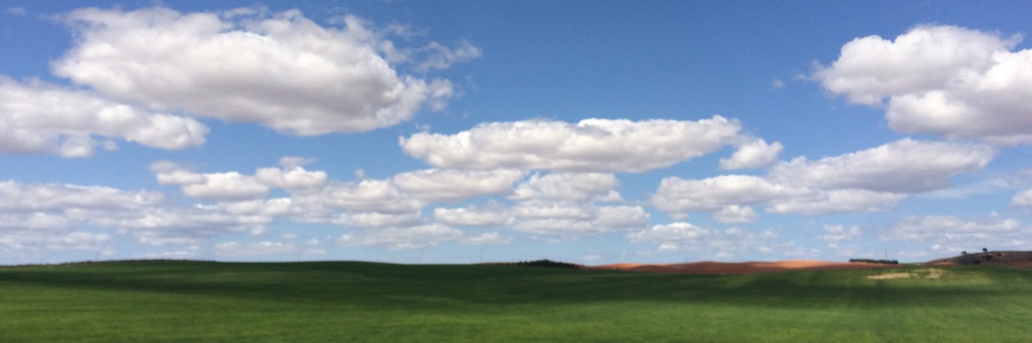 annel2405's profile banner image