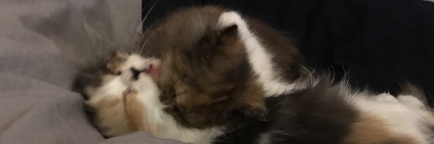 🗑️ banner