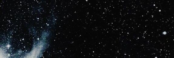 stedanjun's profile banner image