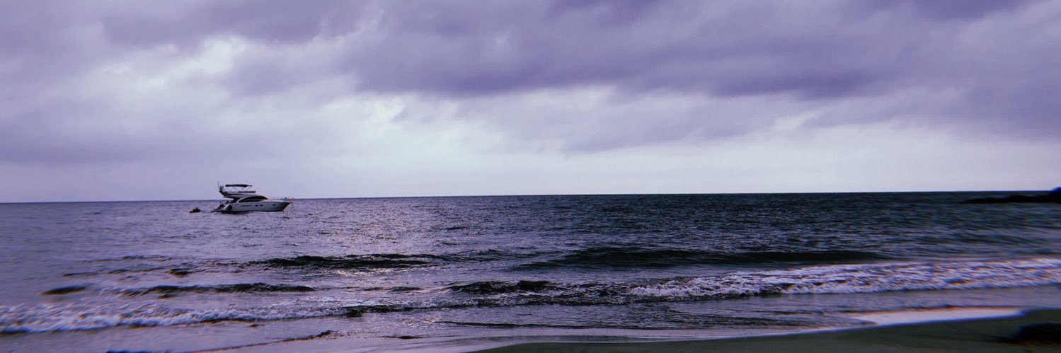 fiorelladif's profile banner image