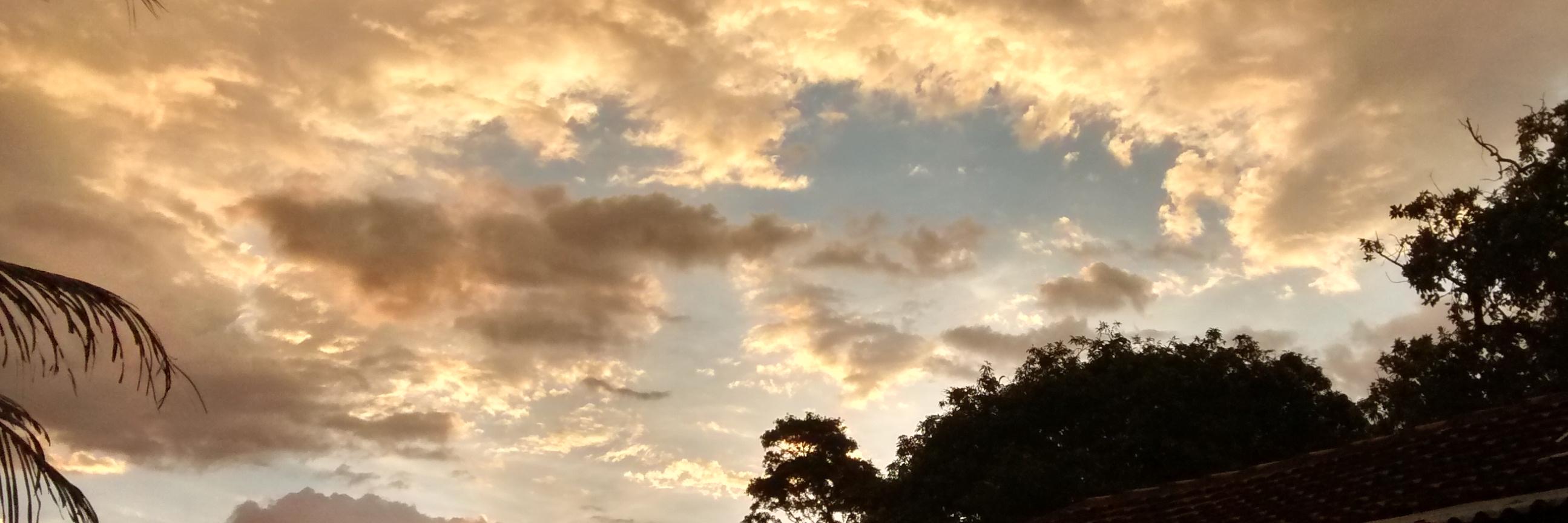 accolhado's profile banner image