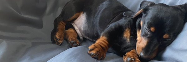 anthony__steele Profile Banner