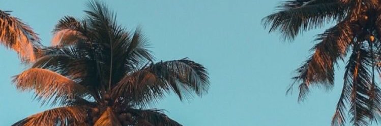 𝕃𝕖𝕟𝕒𝕝𝕪𝕟🌗 banner