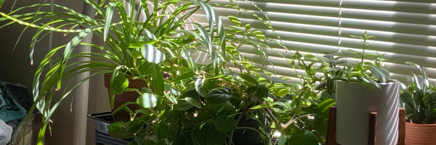 SharonPerp 🇮🇱 banner