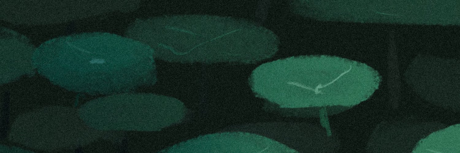 frey ✩‧₊˚ banner