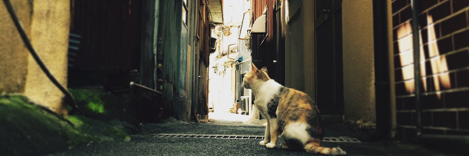 yoshstr88's profile banner image