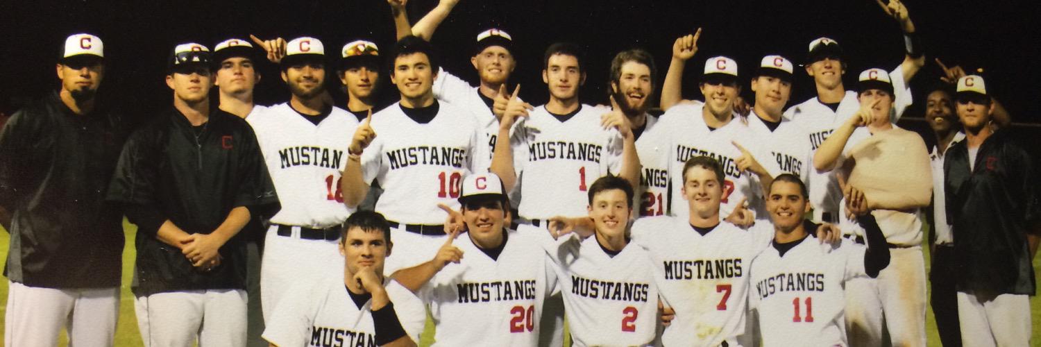 Creekview Baseball banner