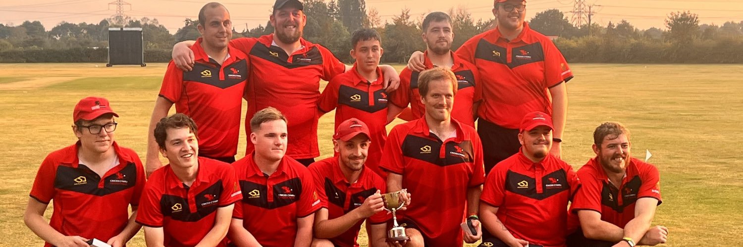 Cricket Wales Disability banner