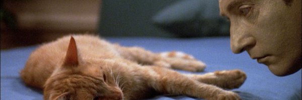 micha Profile Banner