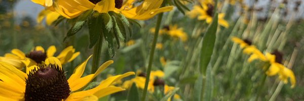 _gracieeee_ Profile Banner