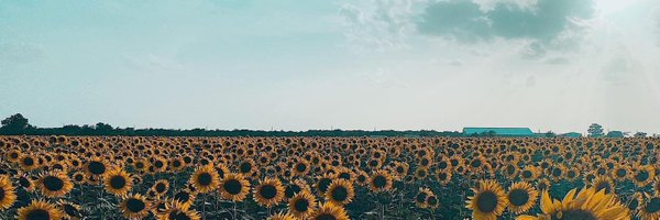 tay_looo Profile Banner